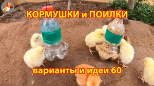 Кормушки и поилки для кур своими руками (60) 🪚✂️ Пошаговая инструкция как сделать 🐔 🐓❣️