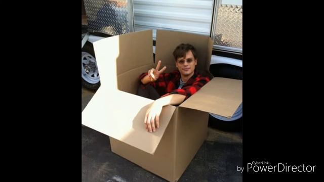 Matthew Gray Gubler Everything sucks