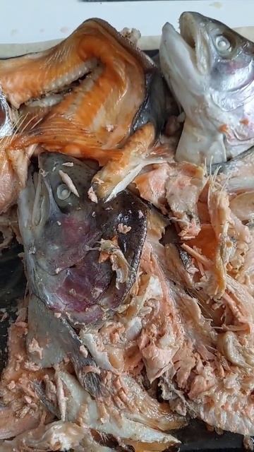 Суповой набор из рыбы, бюджетно для начинки для растегаев смотреть онлайн