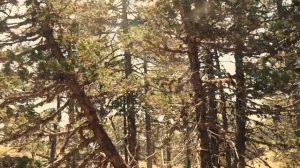 Новый формат: аудио-видео книга "Симуляция жизни или реквием по мечте".