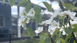 Весенний обзор.