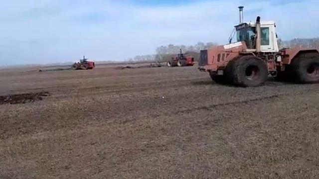 К 744  влип, сезон 2024. смотреть онлайн