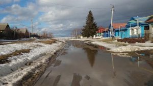 Завидуйте молча! Елена Халдина