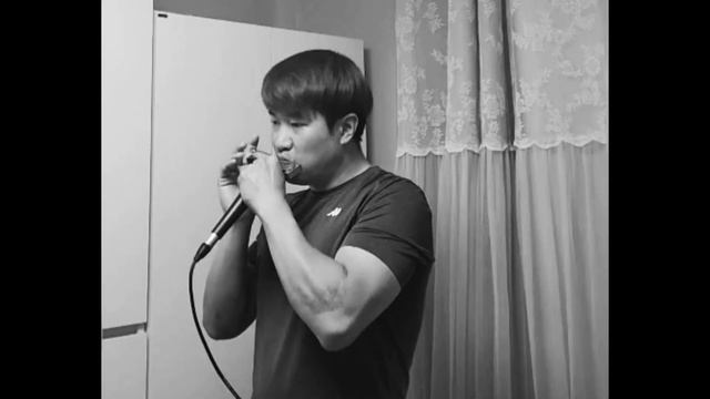 bruno mars - when i was your manchromatic harmonica ver