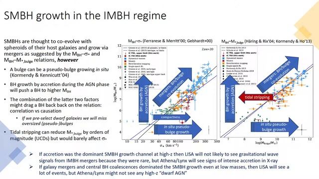 AGN powered by IMBHs: scaling relations and often rapid growth - Igor Chilingarian