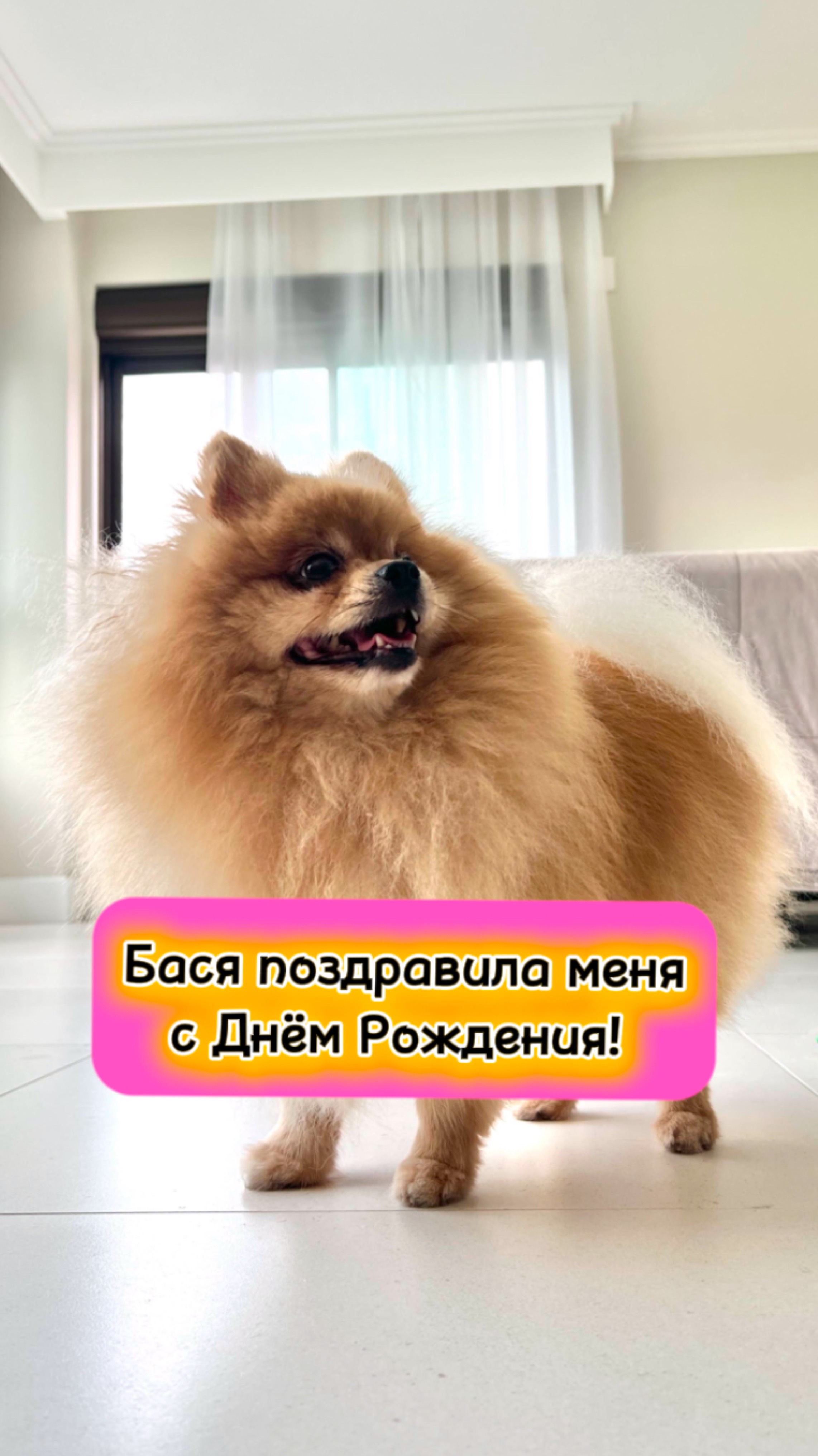 Басенька поздравила меня с Днём Рождения!