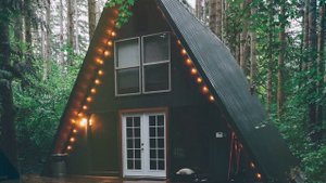 Пение птиц, журчание ручья, звуки природы для лечения души.