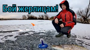 Зимний сезон ловли на флажки щуки открыт и идёт полным ходом!  Не успели скучать и ловить живца