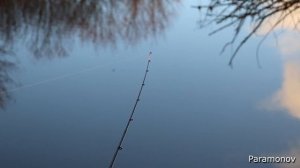 Рыбалка, природа, отдых, шашлыки.../Fishing, nature, recreation, barbecue...