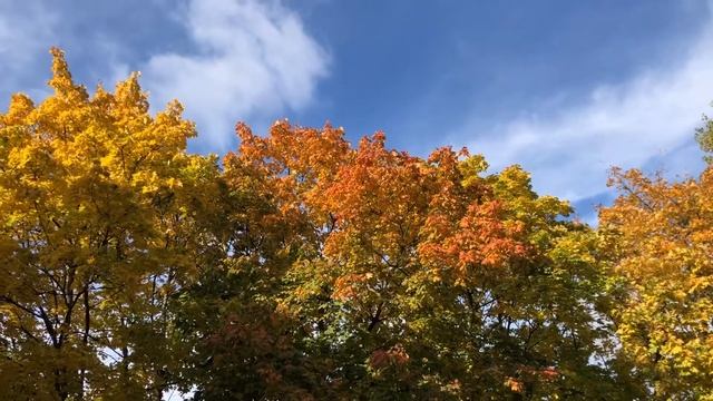 Доброго осіннього ранку! 🍁