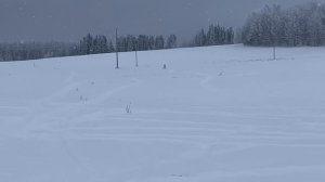 Мотосноуборд и мотосани от производителя "Parma Steel"