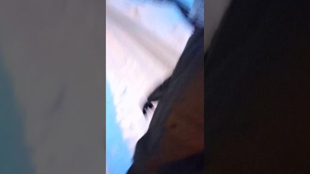 хз что за видео? смотреть онлайн