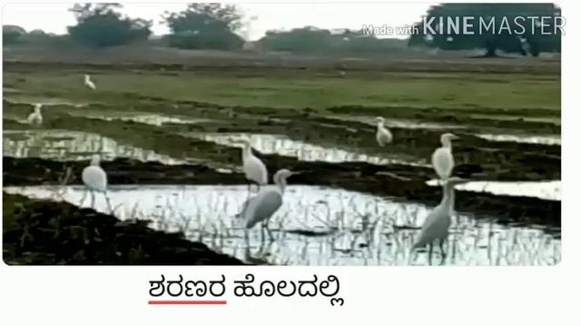 maha dasoha смотреть онлайн