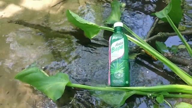 New Style on the river смотреть онлайн