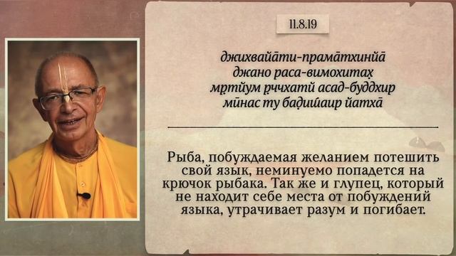 2024.09.02 - Упадешамрита - Дикша ретрит (Беларусь) смотреть онлайн