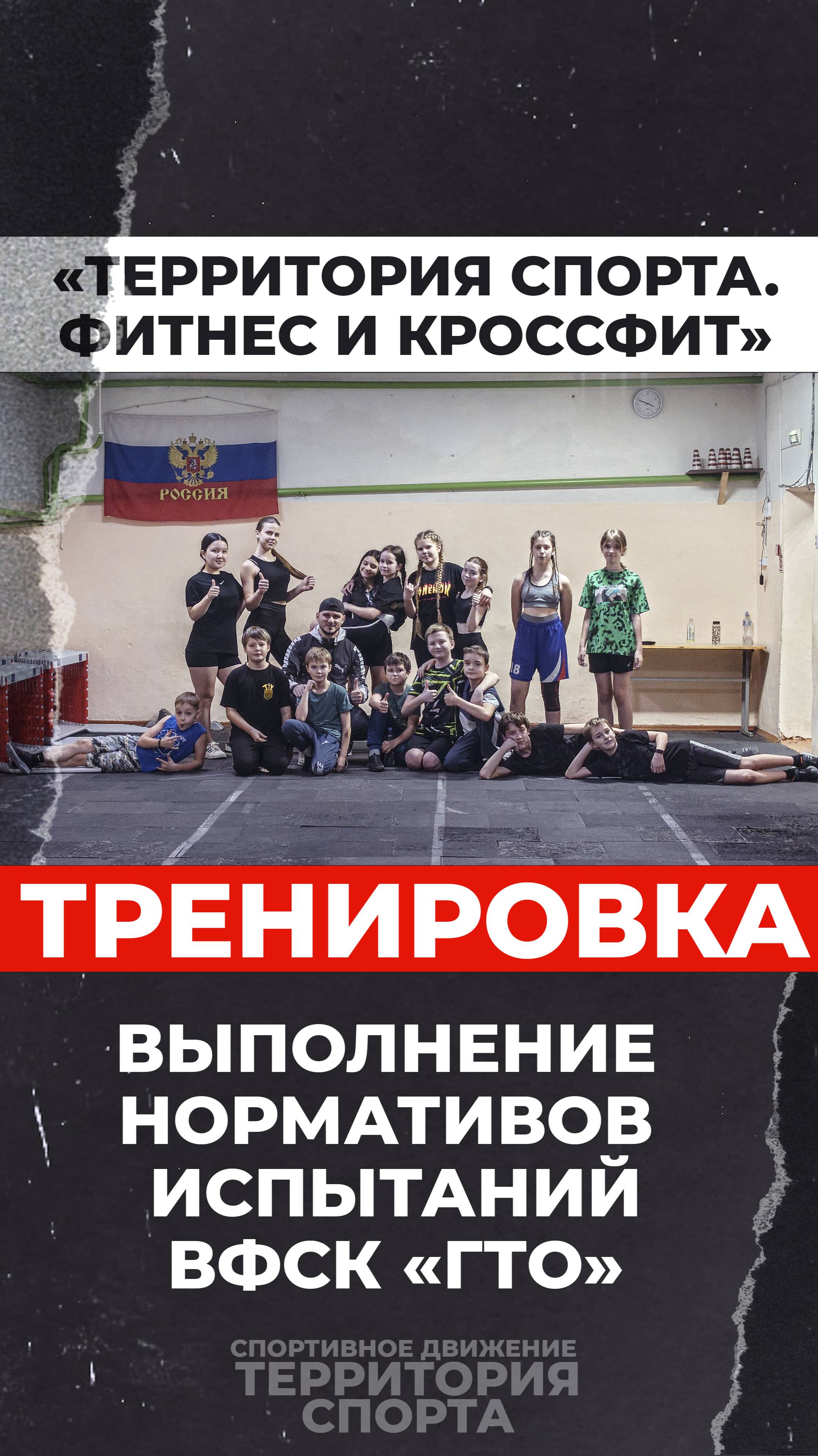Выполнение нормативов ВФСК "ГТО" (26.01.2025)