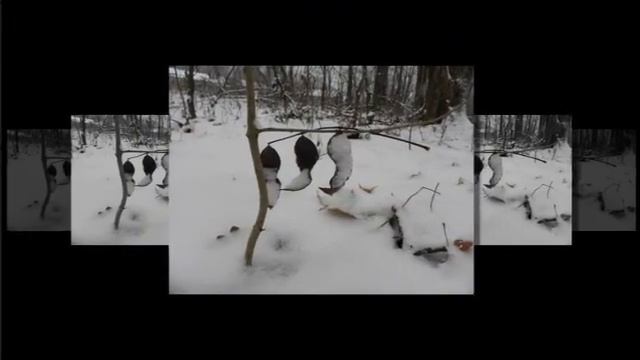 Iolanta Serzhantova смотреть онлайн