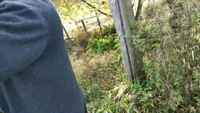 Колодец 1925 года. Едем за водой... смотреть онлайн