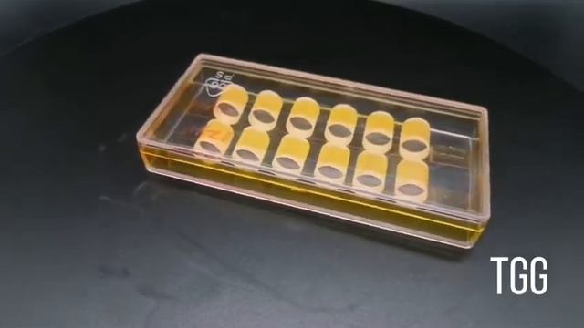 tgg rod1.mp4 смотреть онлайн