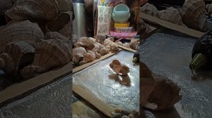 Рамка из ракушек и рапанов / Frame made of shells and rapanas