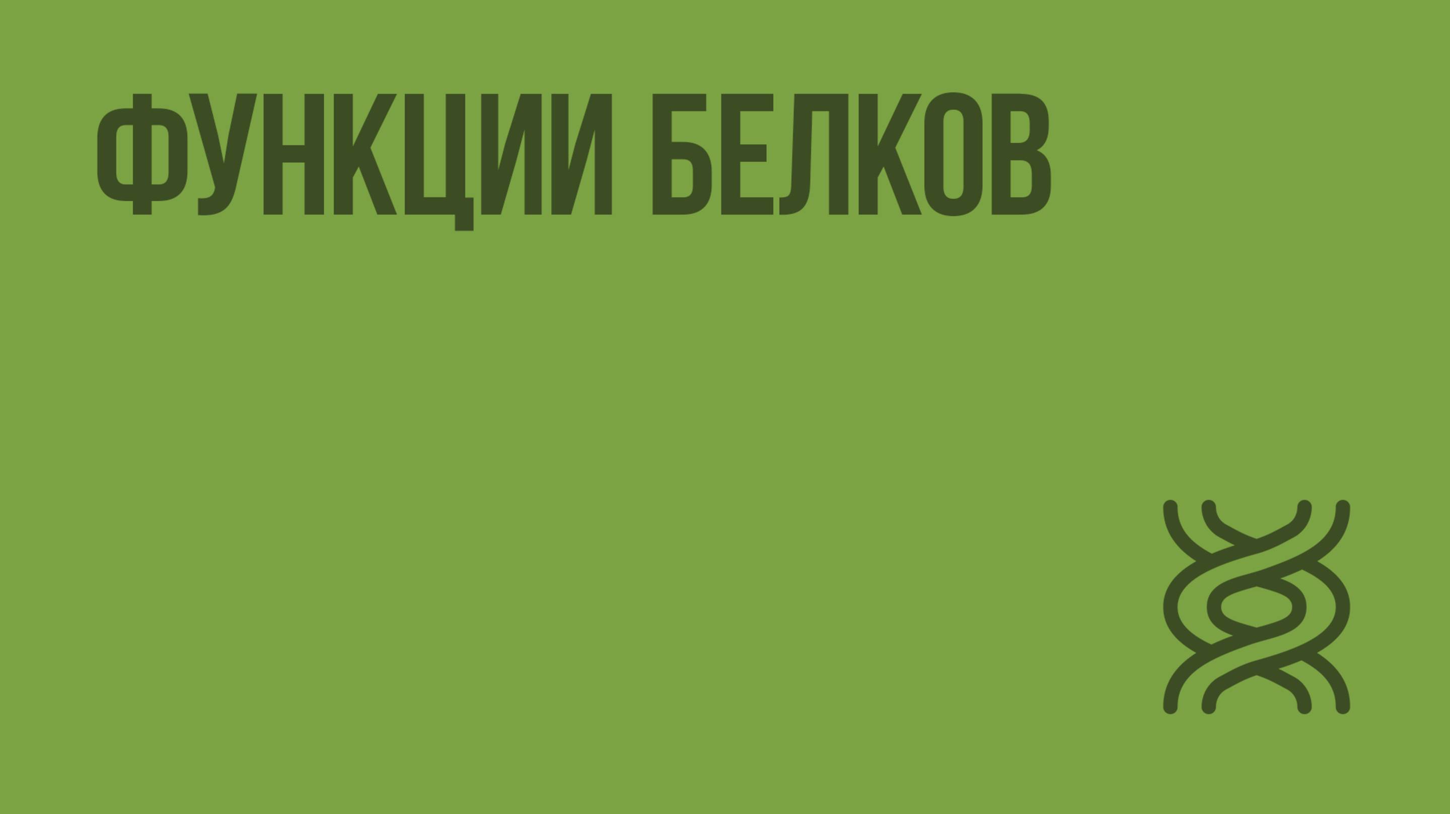 Функции белков. Видеоурок по биологии 10 класс