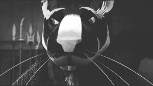 Karai x Leo - Take Me Away