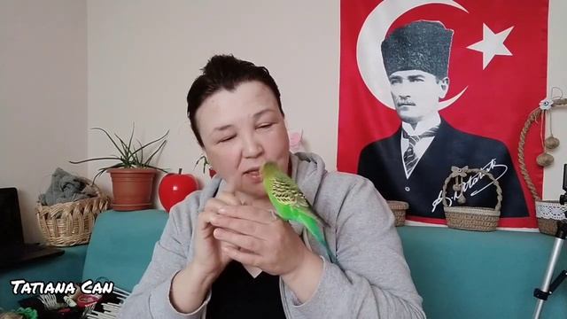 Влог_vlog _У нас холодно_Завтрак_Муж пришёл рано_Домашнее видео _Турция смотреть онлайн