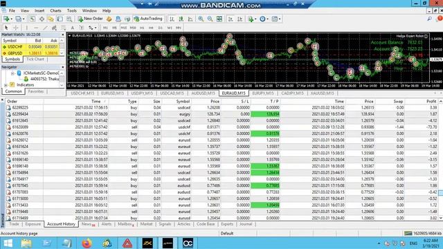 Master Forex Trading with Hedge Expert EA Ultimate Trend-Aligned Hedging Strategy Guide