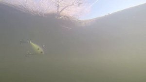 Rapala Luhr Jensen 20% off