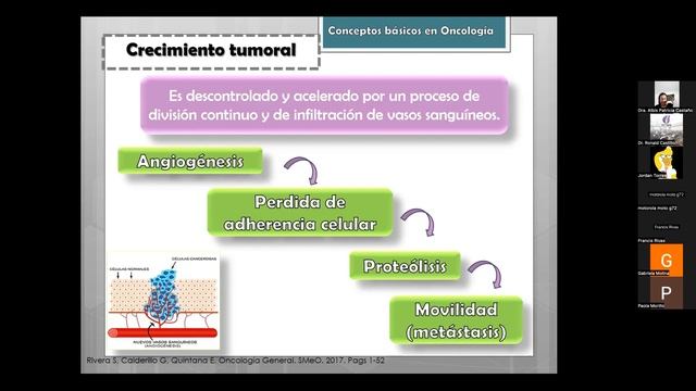 CONCEPTOS BÁSICOS EN ONCOLOGÍA. смотреть онлайн