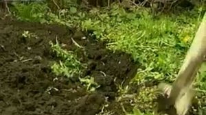 Баймурат Аллабериев «Узбек Джимми»