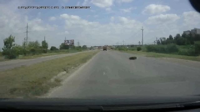 Escort 8500 x50 int и Бинар смотреть онлайн