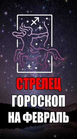 СТРЕЛЕЦ - ГОРОСКОП на ФЕВРАЛЬ 2025