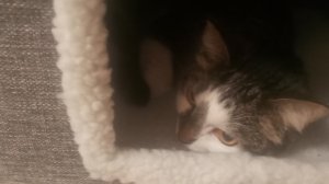 попал в игру в кальмара продолжение