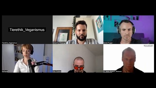 Debatte mit Niko Rittenau, der Militanten Veganerin, TuV, Daniel Pugge und Malte Rubach смотреть онлайн