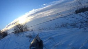 6.01.24 Охота с РПГ на зайца