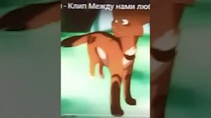 Коты-воители клип:У него пуля в пушке для твоей черепушки