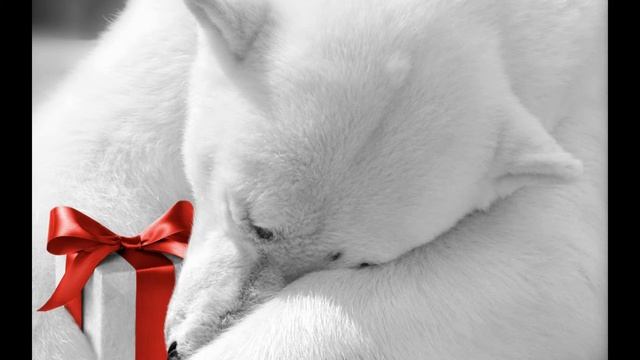 10 секунд картинка 1 151