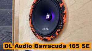 DL Audio Barracuda 165 SE
Внешний вид, общий вид музыкального уголка.