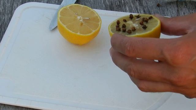 Народное средство от комаров