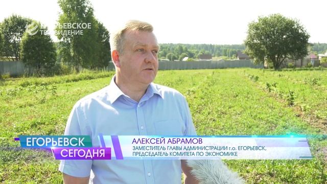 Хозяйство по выращиванию малины на территории Егорьевского округа прошло сертификацию «Роскачества» смотреть онлайн