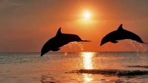 Dj Maxwell - Tu vivi nell'aria [Speed Up]