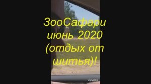ЗооСафари июнь 2020 (отдых от шитья)!
