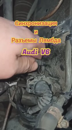 Подключение Лямбда на Ауди V6