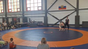 Борьба по правилам сумо (семилетки)