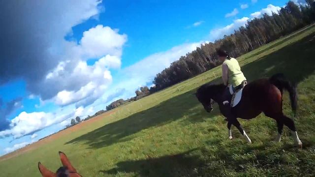 On a wonderful day смотреть онлайн