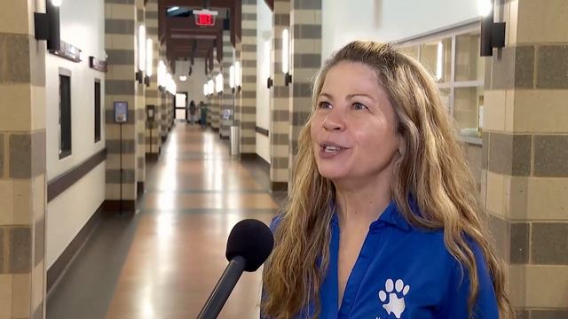 Houston SPCA celebrates 100 years of service