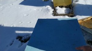 Зимовка пчел на воле в деревянных ульях и ульях ппу.