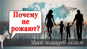 Почему не рожают?  | Уши машут ослом (129)