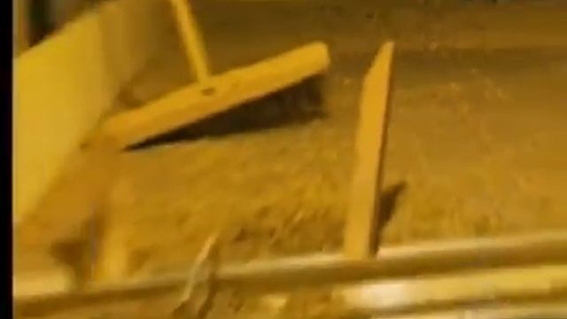 Mais de 20 toneladas de café são roubadas de fazenda no Sul de Minas Gerais смотреть онлайн